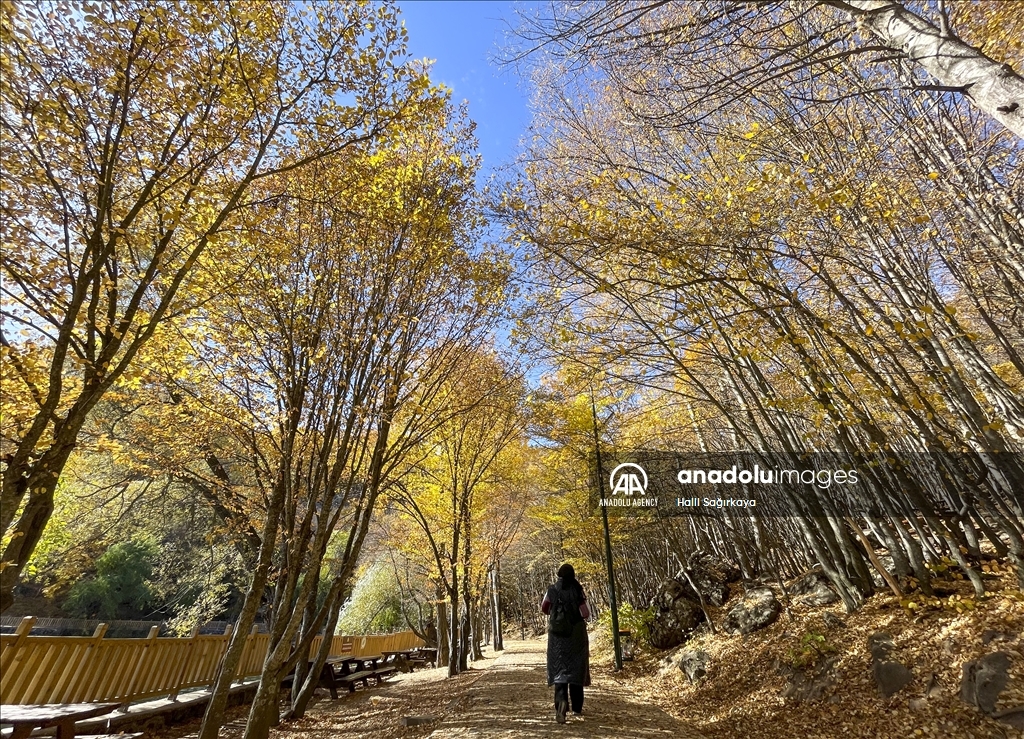 Autumn in Ankara