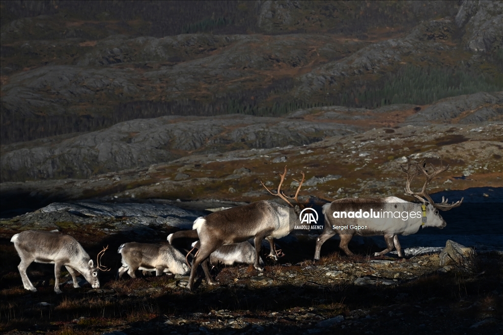 Daily life in Norway