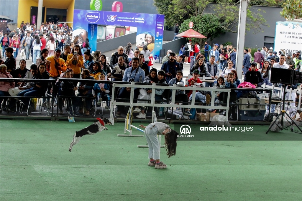ExpoPet 2022: Así se desarrolló en Bogotá la feria para mascotas más grande de Latinoamérica