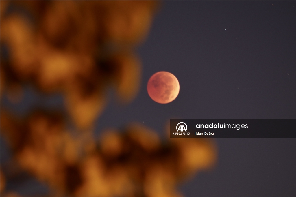 November's 'Beaver Moon' observed in New York