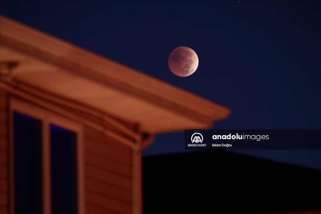 November's 'Beaver Moon' observed in New York