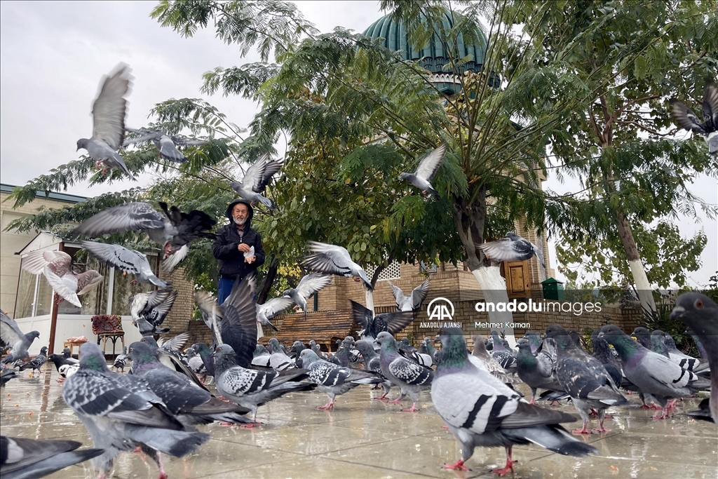Türk dünyasının "Turizm Başkenti" Kokand, fotoğrafçıları ağırladı
