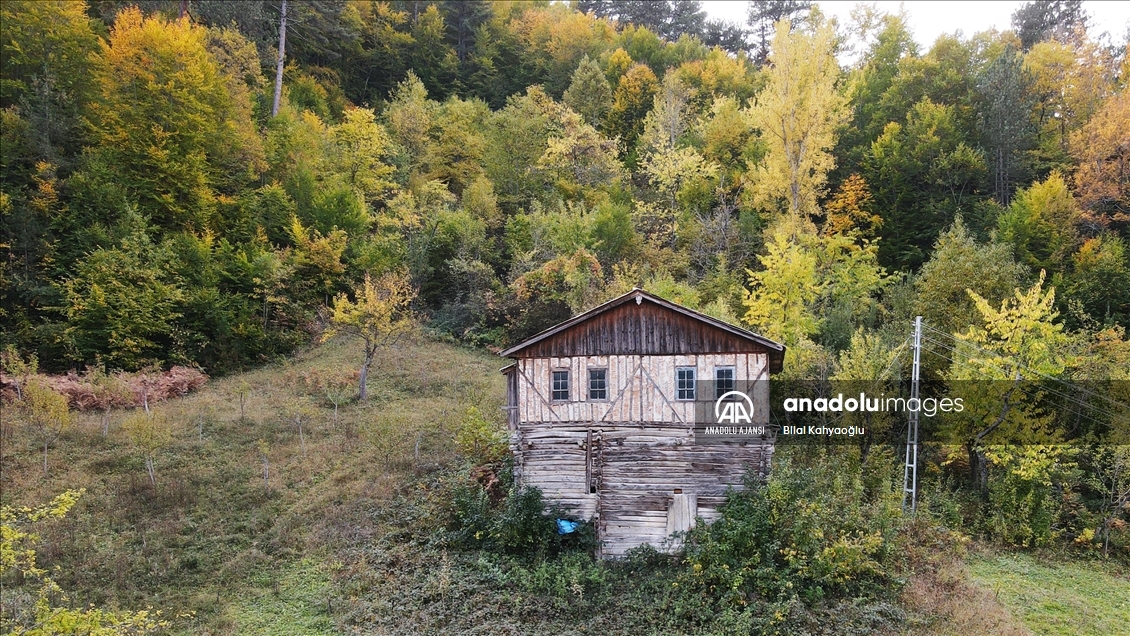 Kastamonu'nun Şenpazar ilçesi sonbahar turizminin adresi olmak istiyor