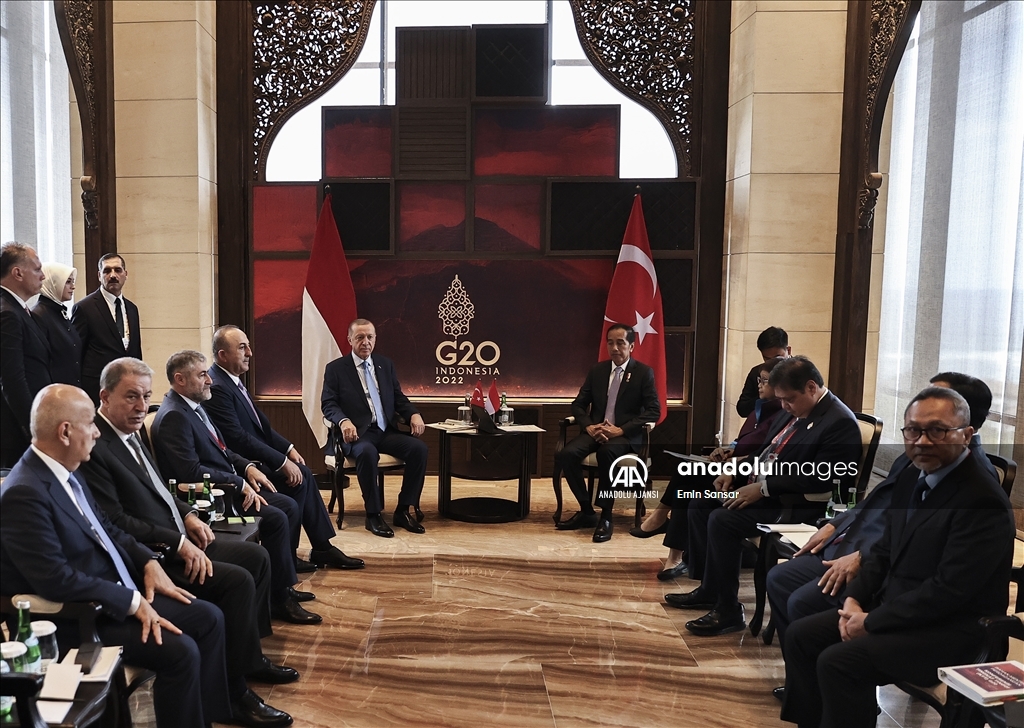 Cumhurbaşkanı Erdoğan, Endonezya Devlet Başkanı Widodo ile görüştü
