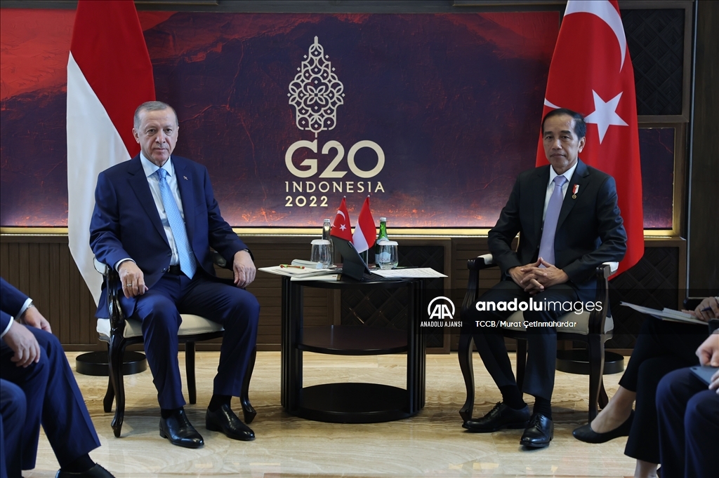 Cumhurbaşkanı Erdoğan, Endonezya Devlet Başkanı Widodo ile görüştü