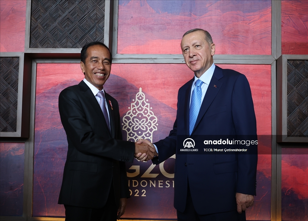 Cumhurbaşkanı Erdoğan, Endonezya Devlet Başkanı Widodo ile görüştü