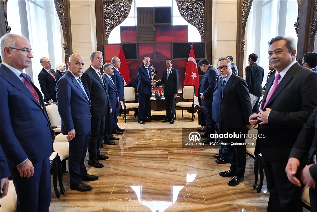 Cumhurbaşkanı Erdoğan, Endonezya Devlet Başkanı Widodo ile görüştü