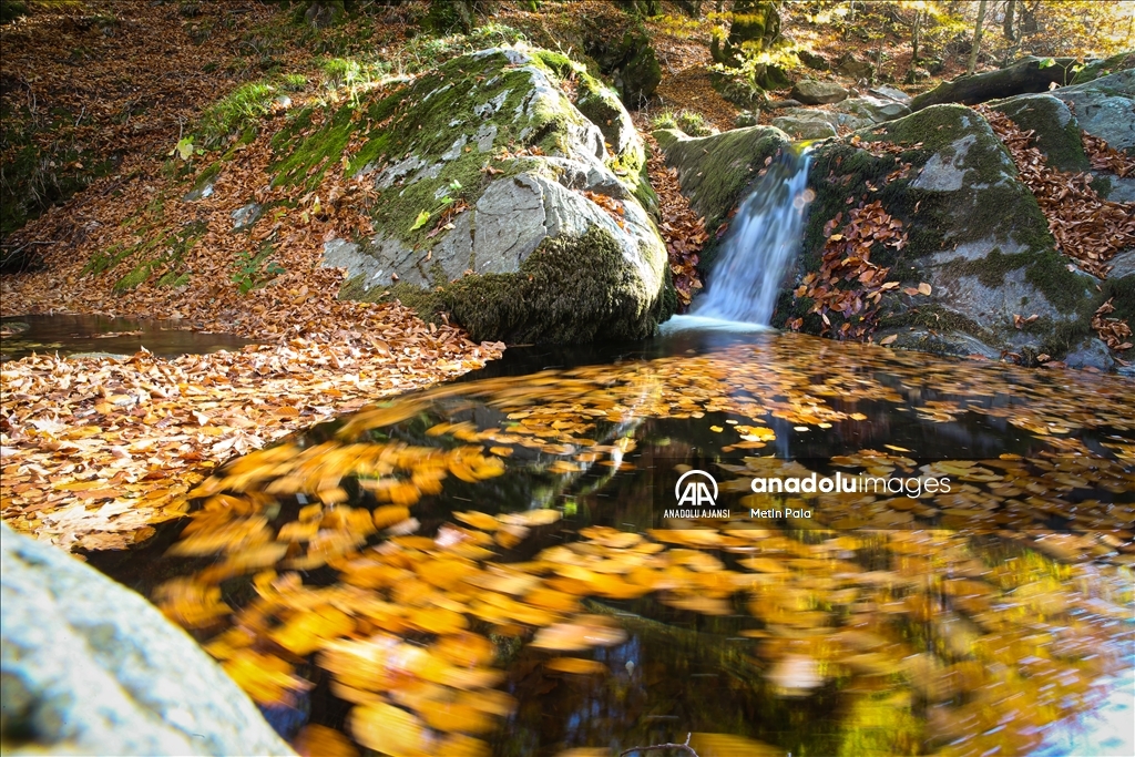 Kazdağları'nda sonbahar
