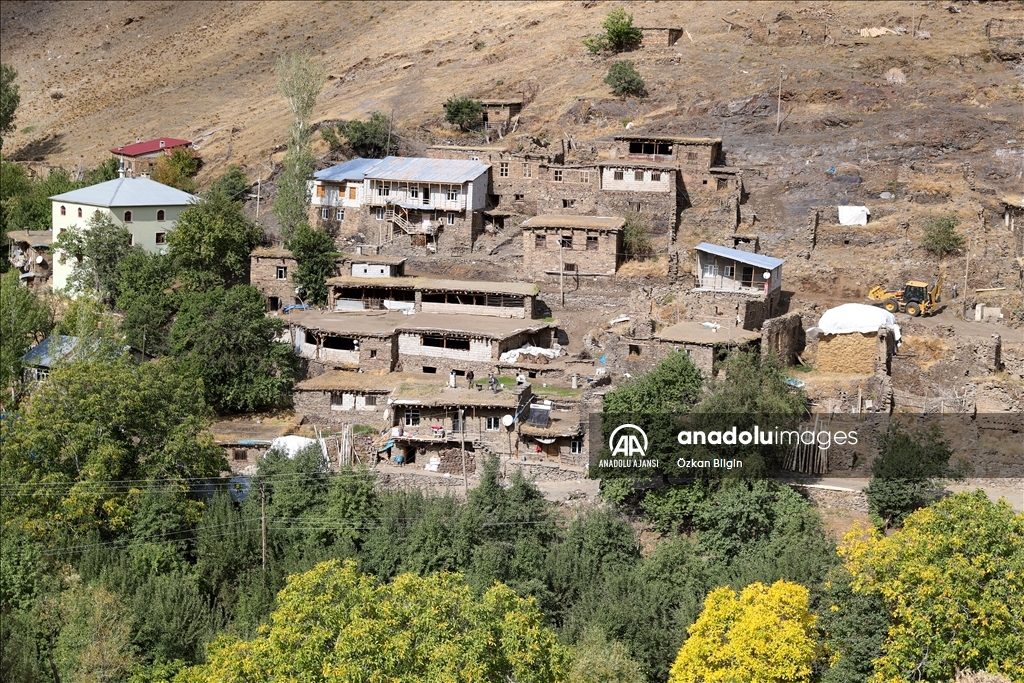 Gevaş'taki taş evler yıllara meydan okuyor