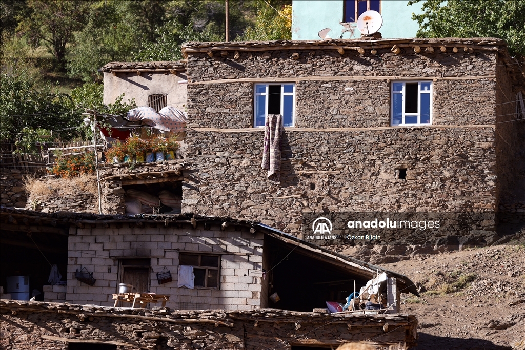 Gevaş'taki taş evler yıllara meydan okuyor