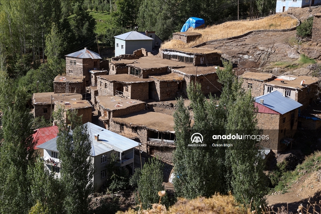Gevaş'taki taş evler yıllara meydan okuyor