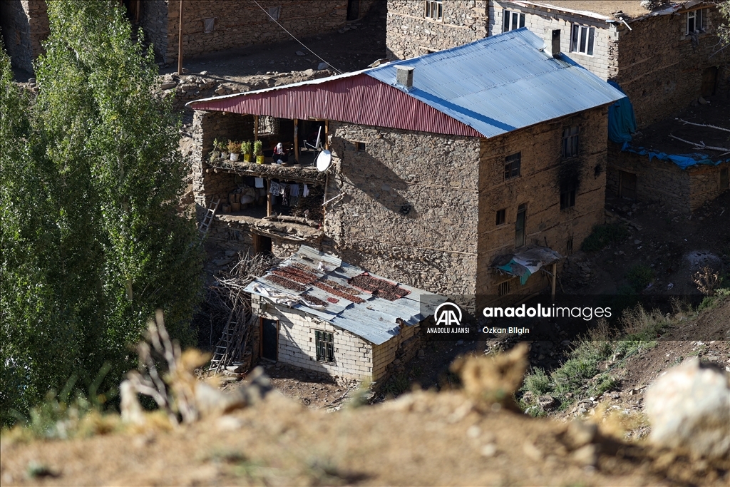 Gevaş'taki taş evler yıllara meydan okuyor