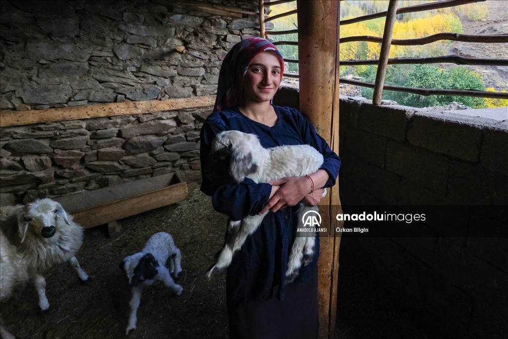 Gevaş'taki taş evler yıllara meydan okuyor