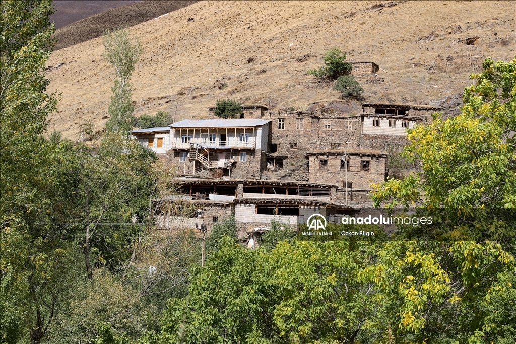 Gevaş'taki taş evler yıllara meydan okuyor
