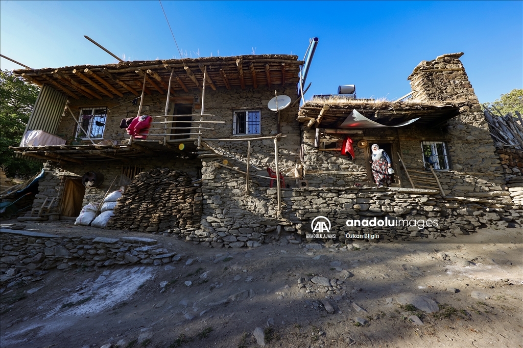 Gevaş'taki taş evler yıllara meydan okuyor