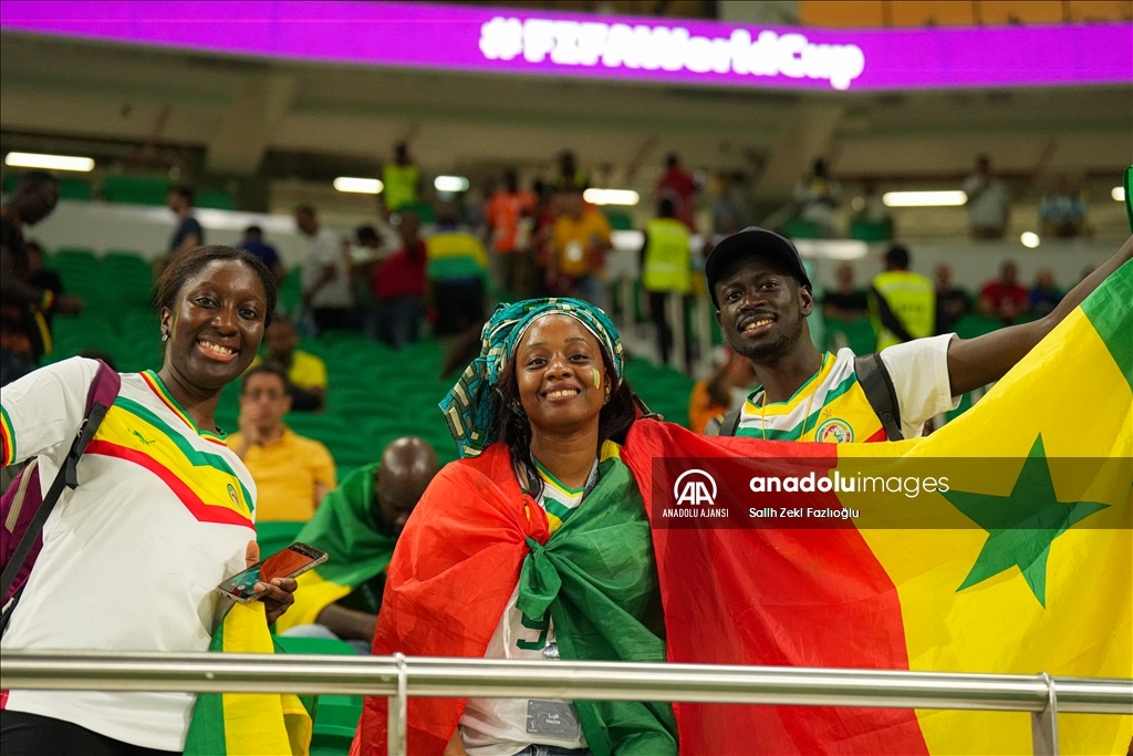 2022 FIFA Dünya Kupası: Senegal - Hollanda