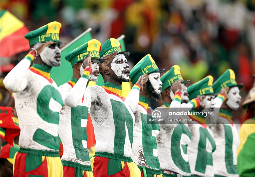 2022 FIFA Dünya Kupası: Senegal - Hollanda