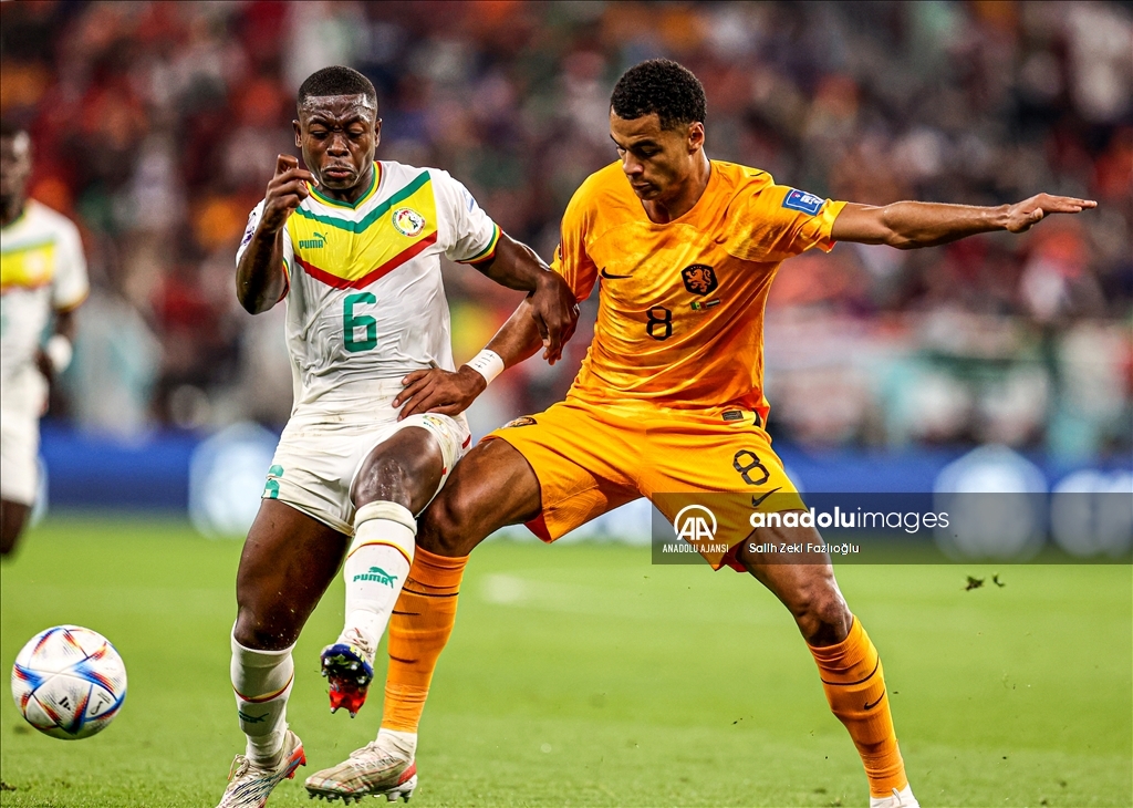 Senegal - Hollanda