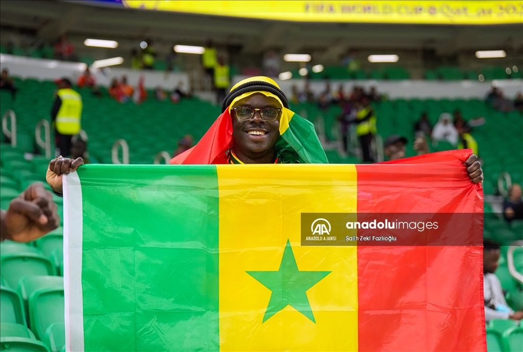 2022 FIFA Dünya Kupası: Senegal - Hollanda