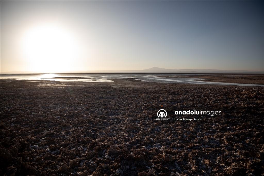 The population of flamingos in the Atacama desert decreases due to drought and mining