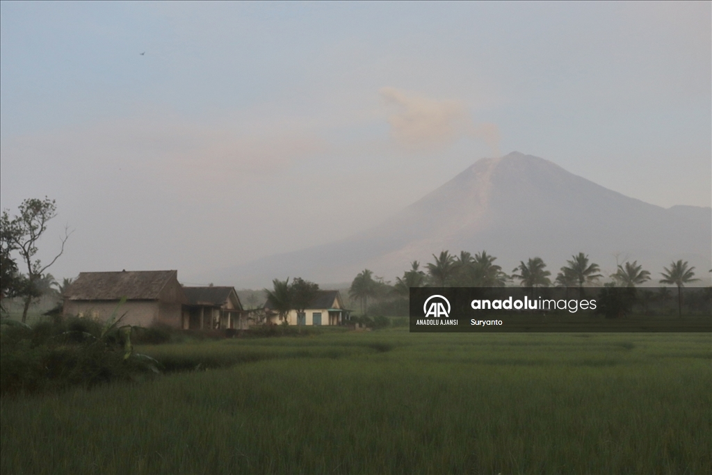 Endonezya'da Semeru Yanardağı lav püskürttü