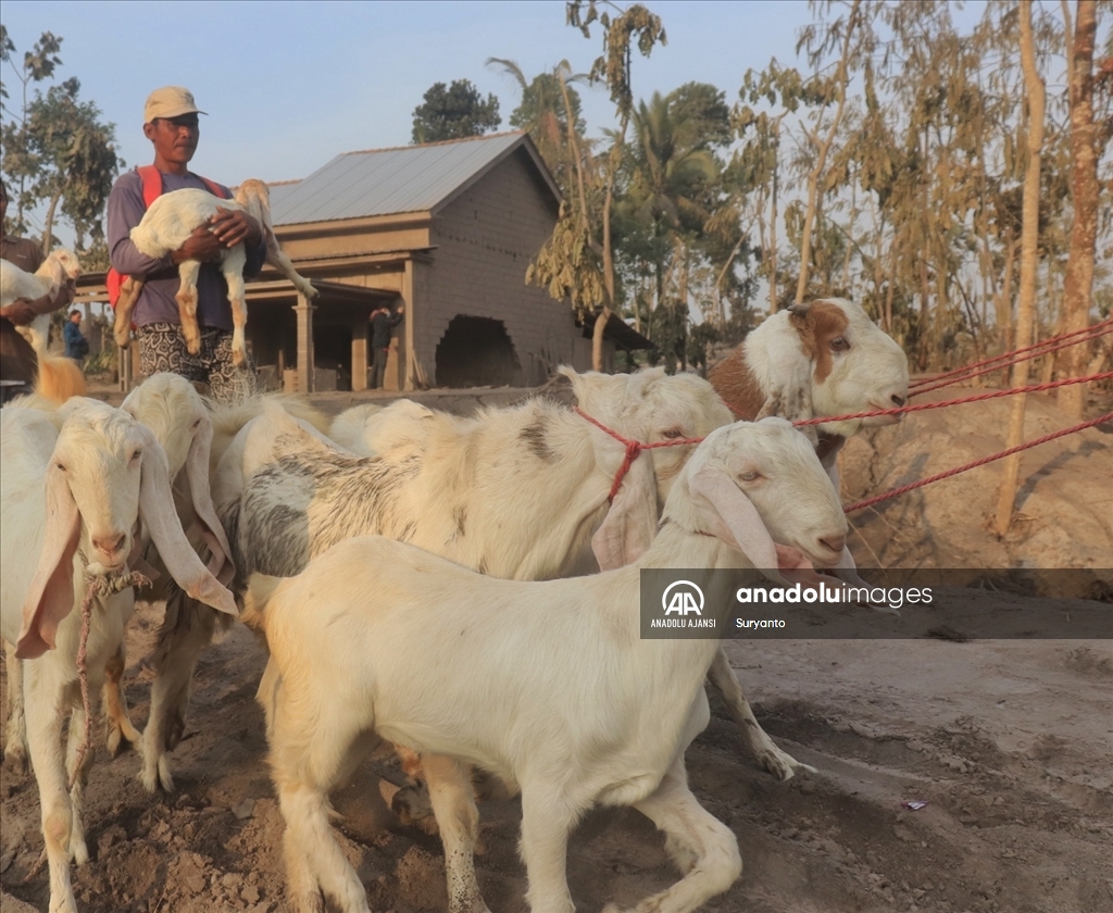 Endonezya'da Semeru Yanardağı lav püskürttü