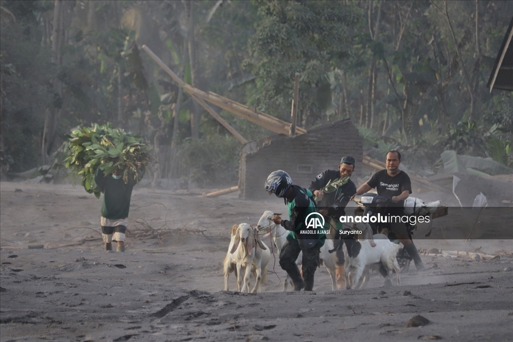 Endonezya'da Semeru Yanardağı lav püskürttü