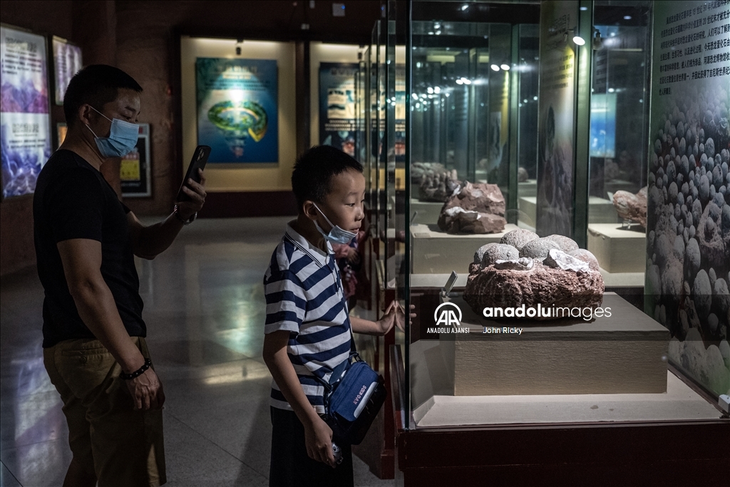 Çin'in Heyulan Dinozor Müzesi