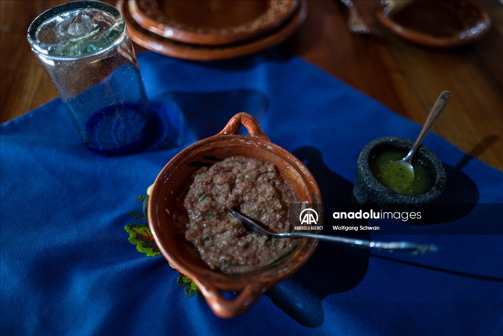 Touristic and Mayan culinary aspects of Mexico's Yucatan