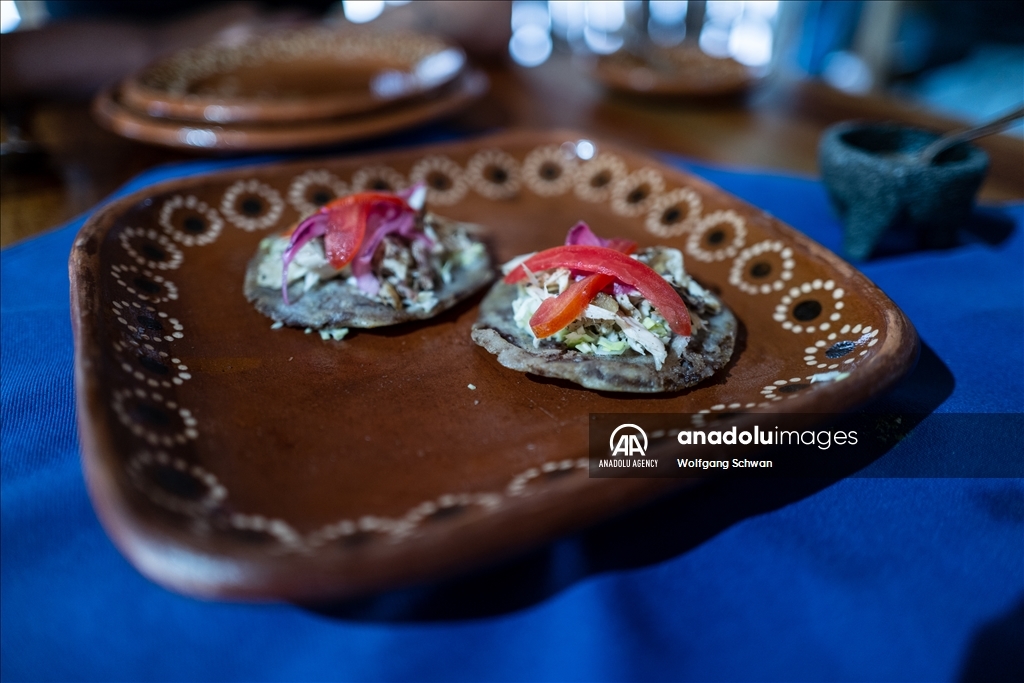 Touristic and Mayan culinary aspects of Mexico's Yucatan