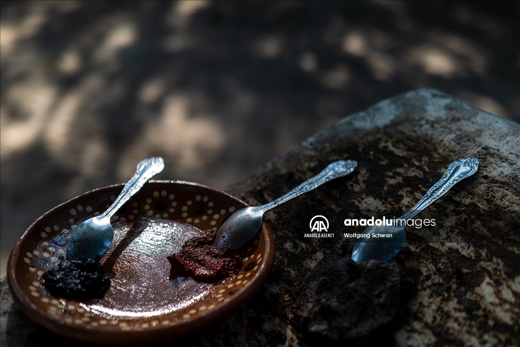 Touristic and Mayan culinary aspects of Mexico's Yucatan