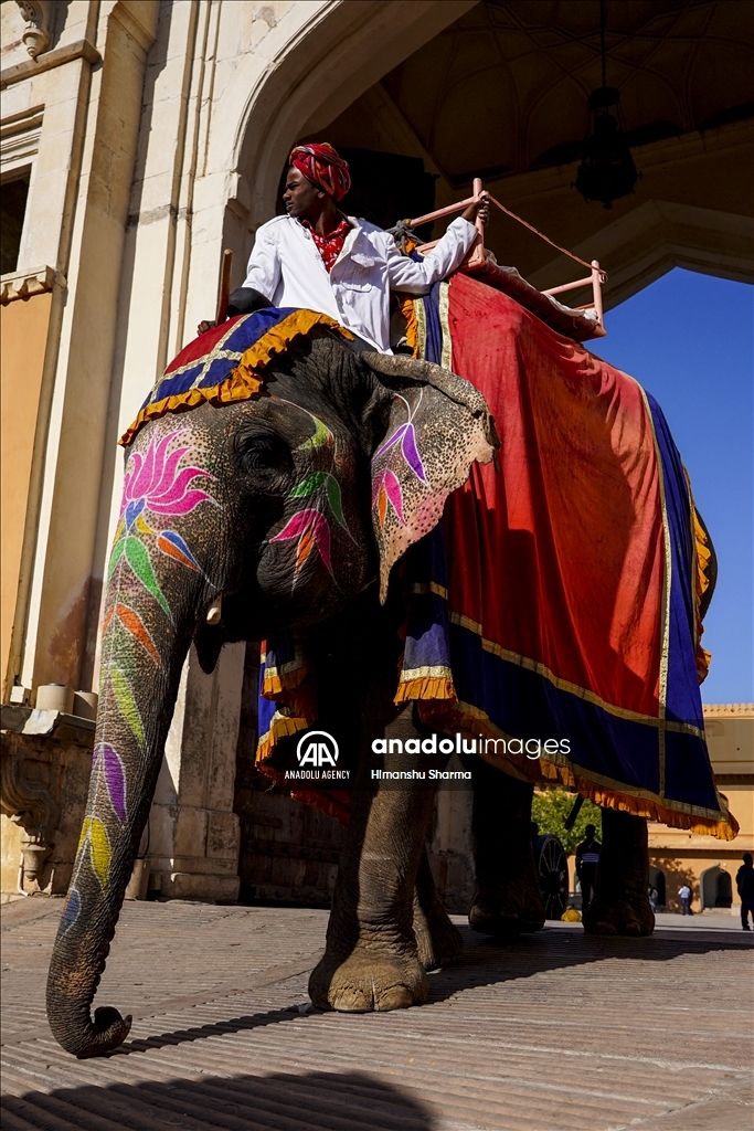 UNESCO World Heritage Site: Historical Amber Fort in India's Jaipur