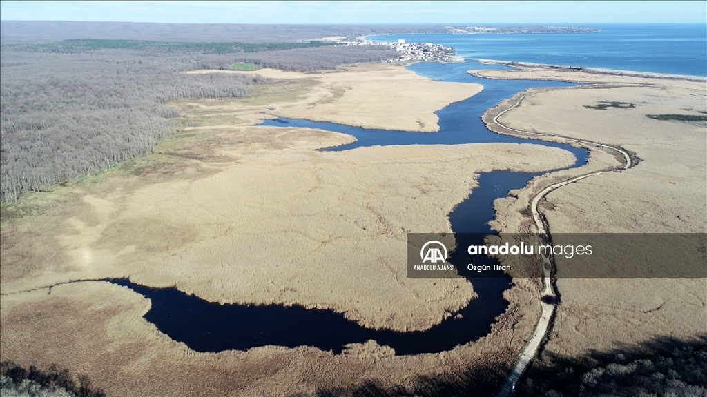 Kırklareli'nde İğneada longoz ormanlarındaki derelerde su seviyesinin artması sonucu Mert Gölü ile deniz birleşti.