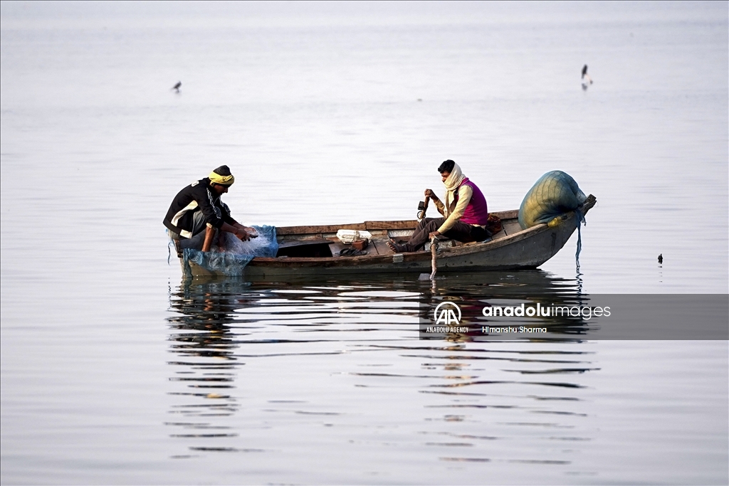 Fishermen struggle to hunt in the lake on a foggy and cold winter morning in Ajmer, Rajasthan, India