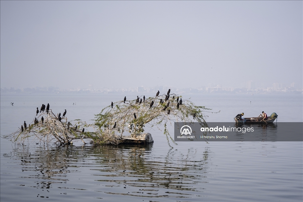 Fishermen struggle to hunt in the lake on a foggy and cold winter morning in Ajmer, Rajasthan, India