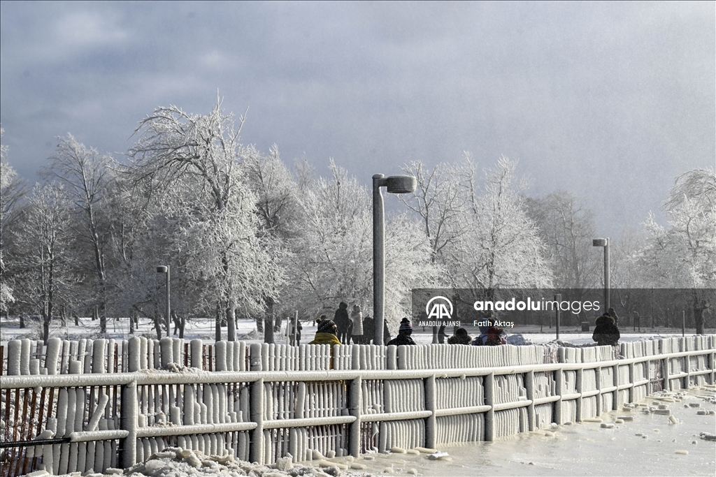 ABD’de etkili olan kutup soğukları sebebiyle Niagara şelaleleri kısmen dondu