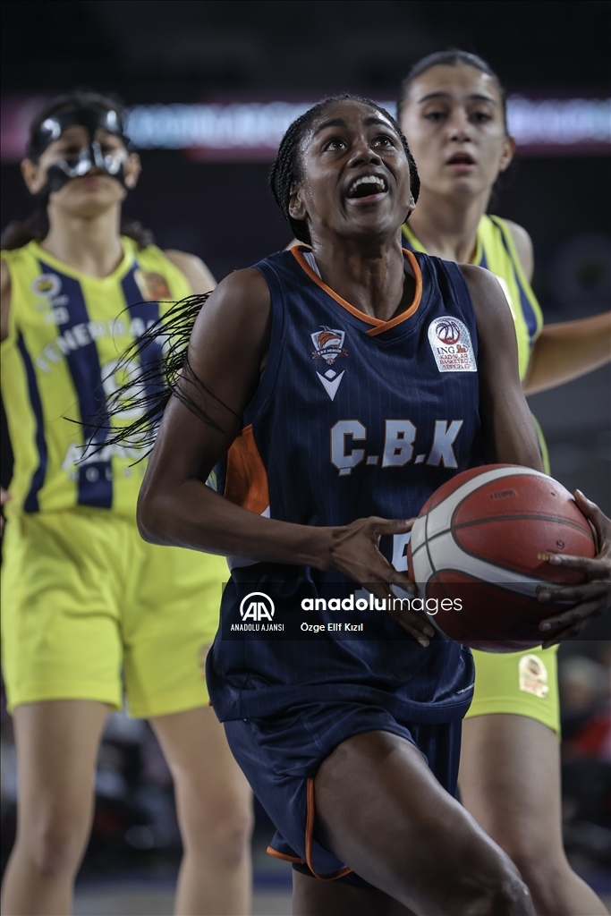Fenerbahçe Alagöz Holding - ÇBK Mersin Yenişehir Belediyesi