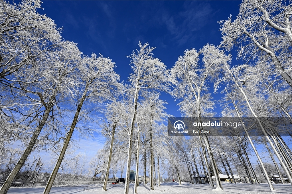 ABD’de etkili olan kutup soğukları sebebiyle Niagara şelaleleri kısmen dondu