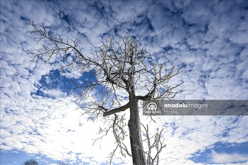 ABD’de etkili olan kutup soğukları sebebiyle Niagara şelaleleri kısmen dondu