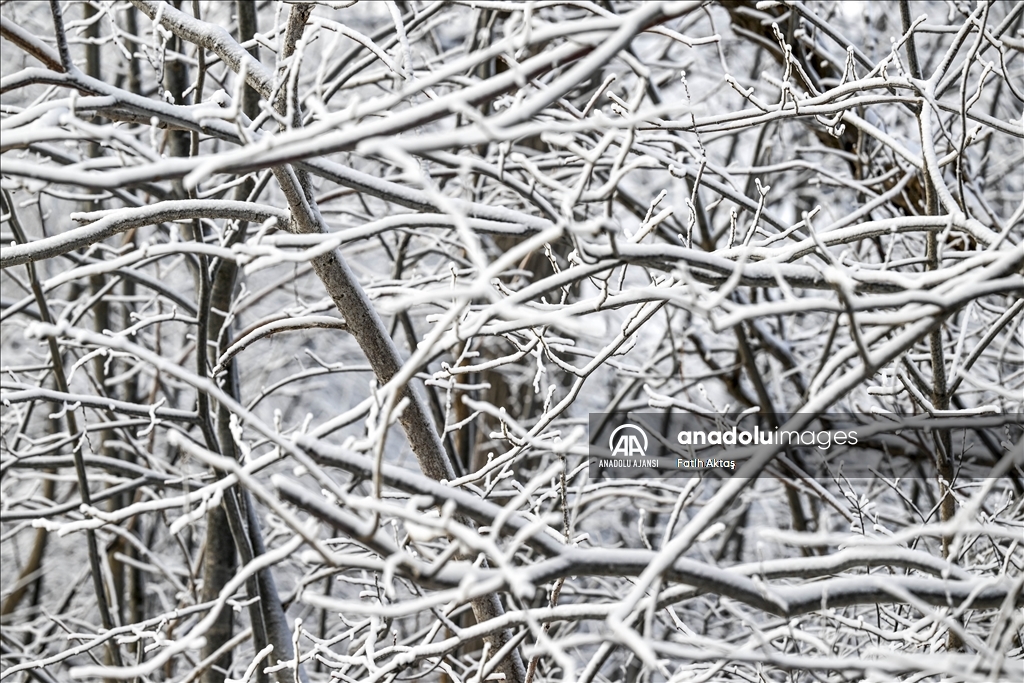 ABD’de etkili olan kutup soğukları sebebiyle Niagara şelaleleri kısmen dondu