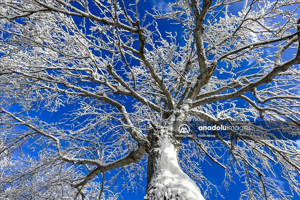 ABD’de etkili olan kutup soğukları sebebiyle Niagara şelaleleri kısmen dondu