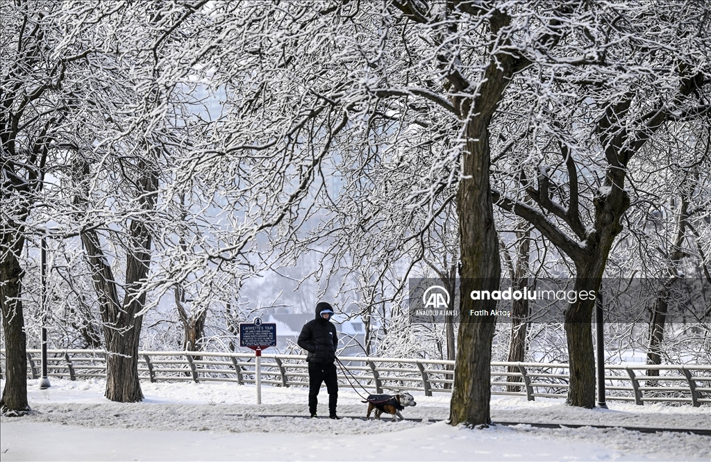 ABD’de etkili olan kutup soğukları sebebiyle Niagara şelaleleri kısmen dondu