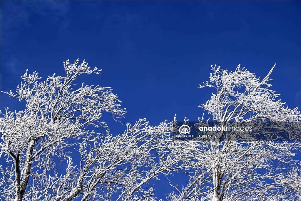 ABD’de etkili olan kutup soğukları sebebiyle Niagara şelaleleri kısmen dondu