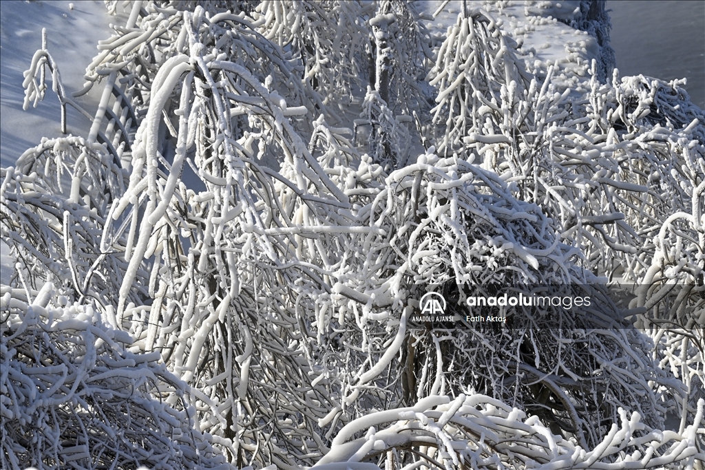 ABD’de etkili olan kutup soğukları sebebiyle Niagara şelaleleri kısmen dondu