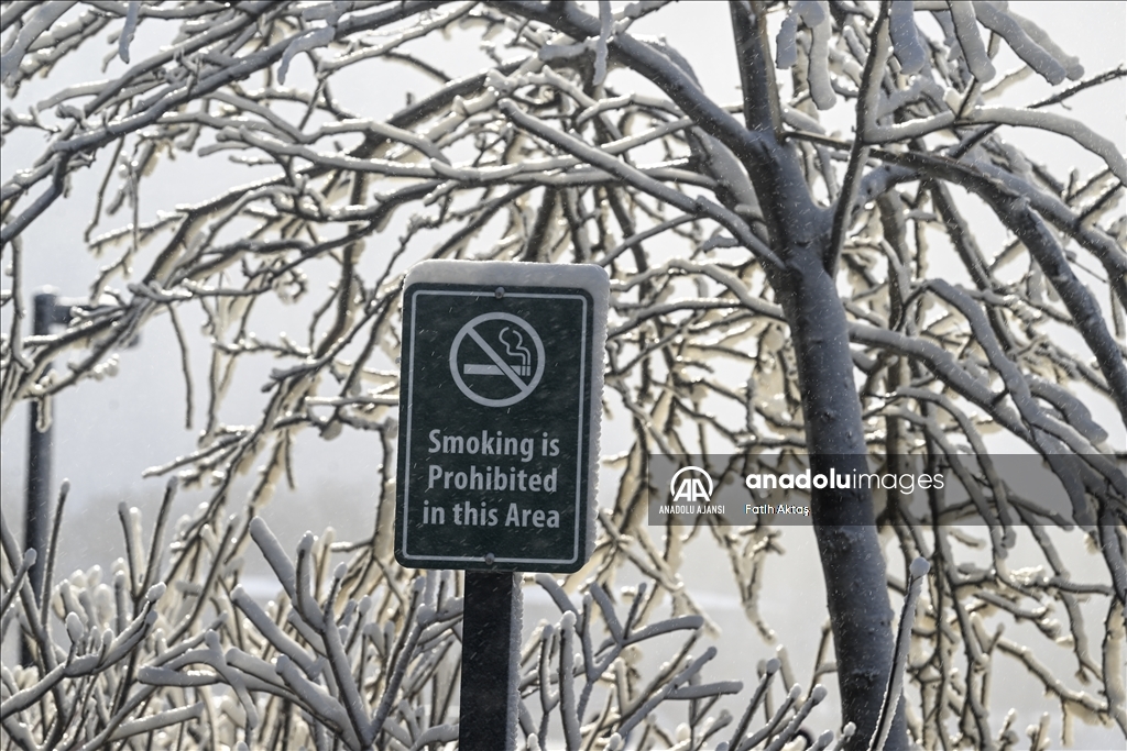 ABD’de etkili olan kutup soğukları sebebiyle Niagara şelaleleri kısmen dondu