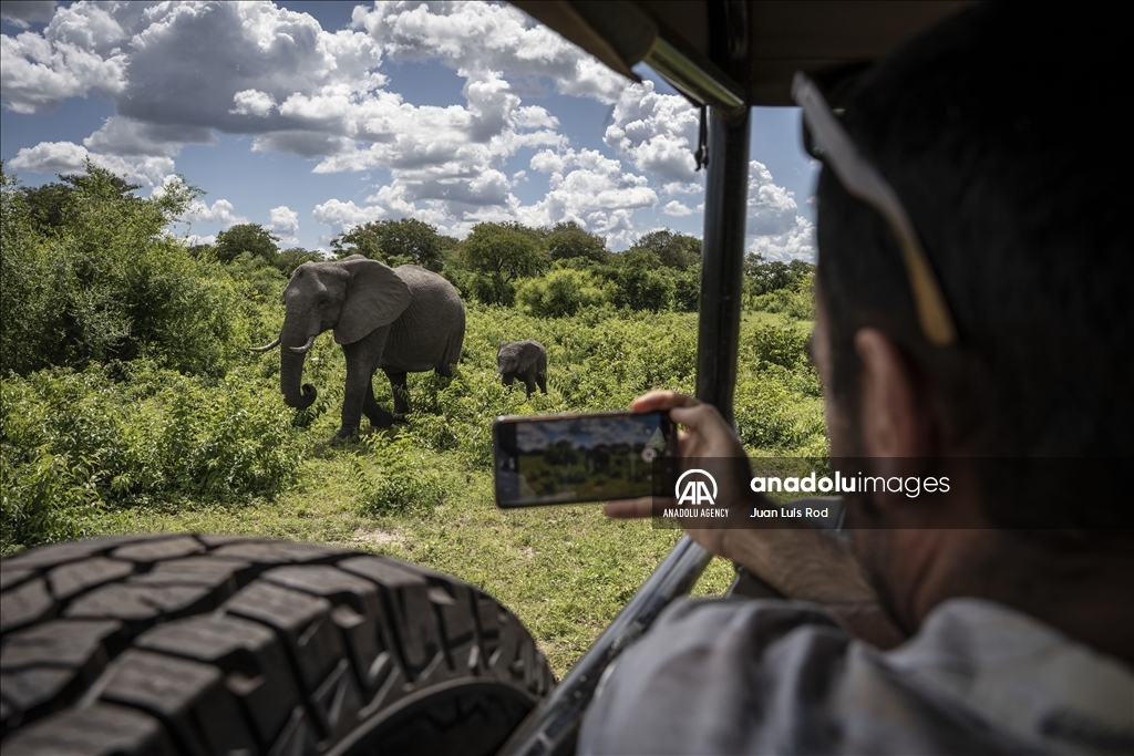 Chobe National Park at Botswana