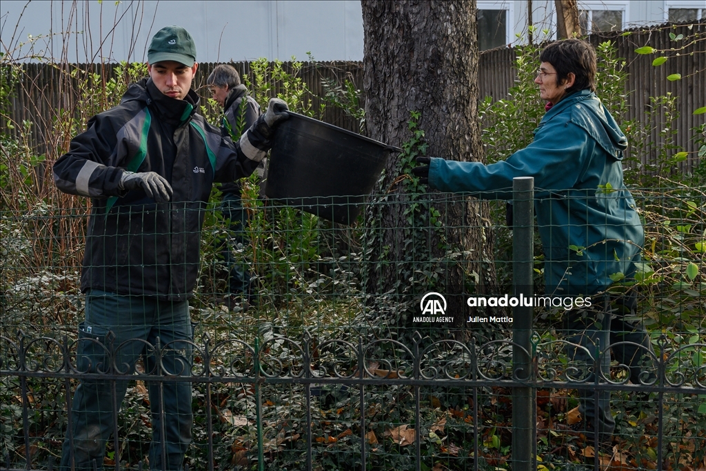 Recycling christmas trees philadelphia pa