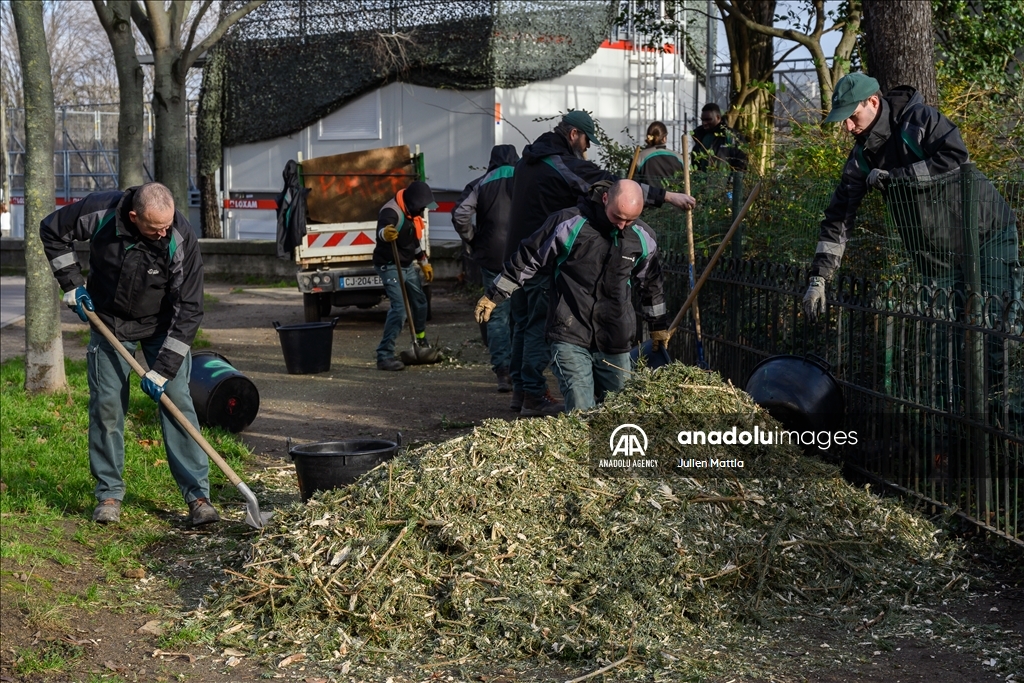 Recycling christmas trees philadelphia pa