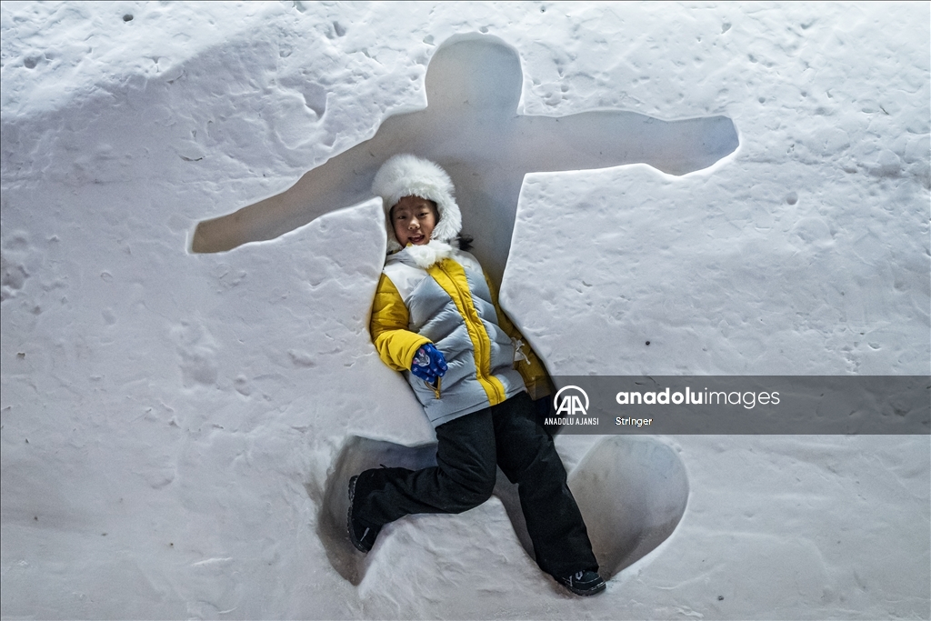 Harbin Uluslararası Buz ve Kar Heykel Festivali