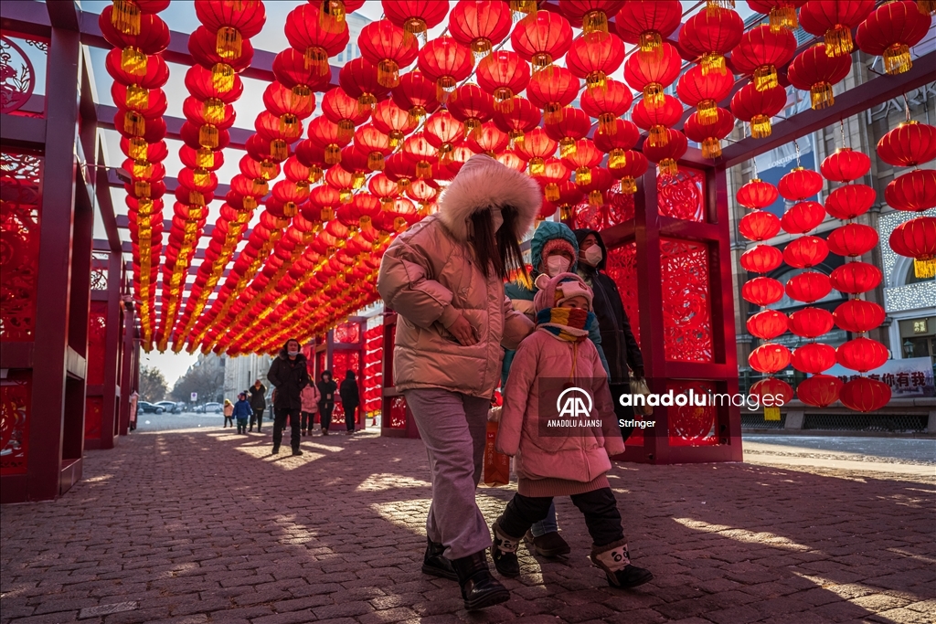 Harbin Uluslararası Buz ve Kar Heykel Festivali
